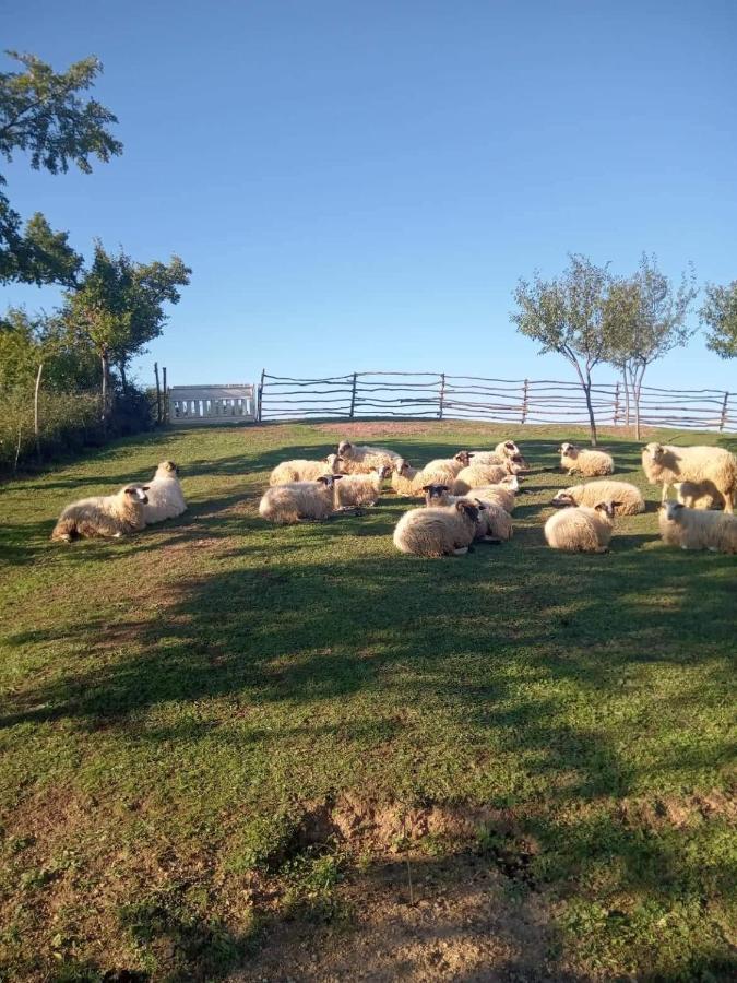 Chez Marthe, Organic Farm Stay Книн Екстер'єр фото