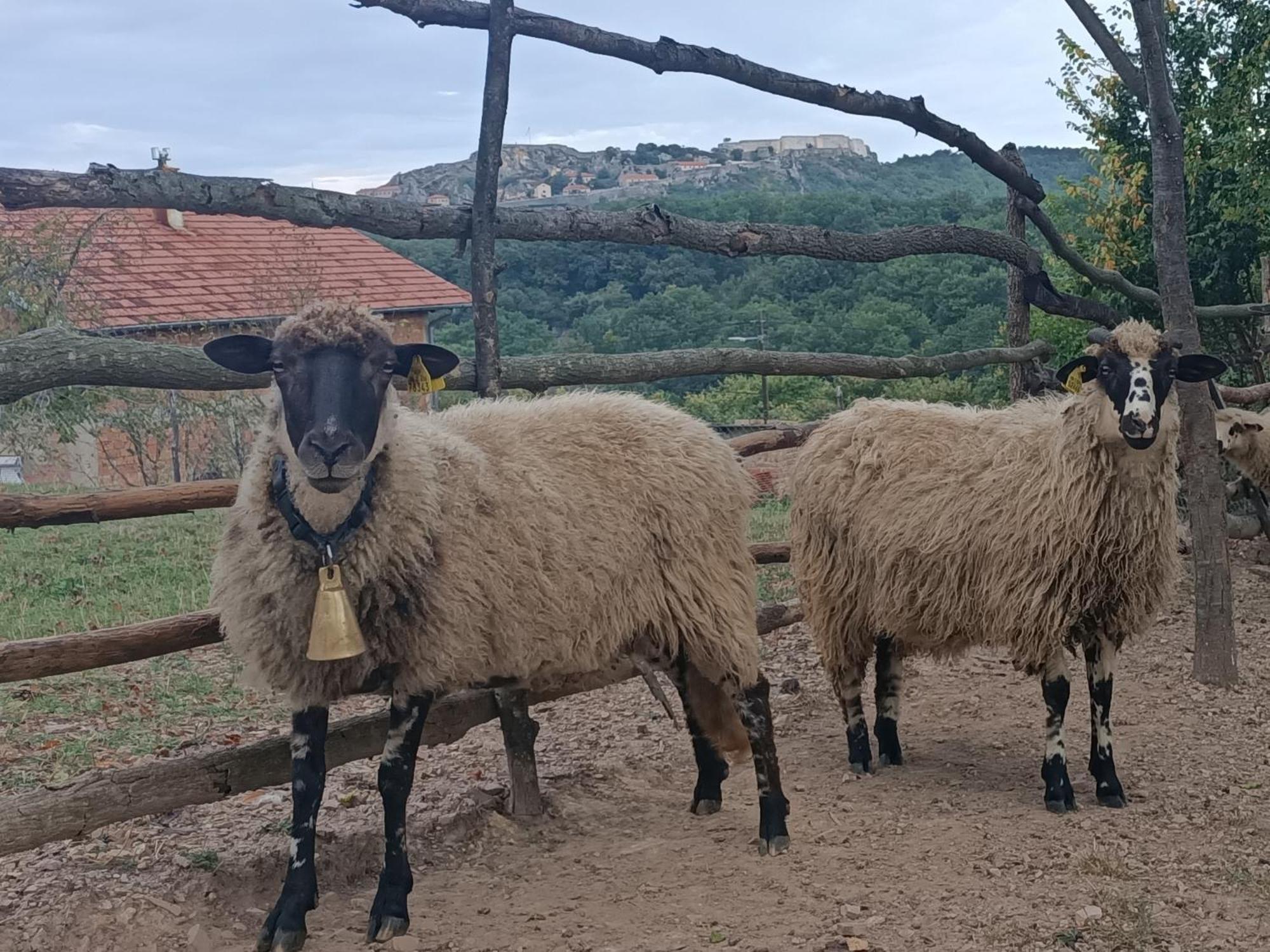 Chez Marthe, Organic Farm Stay Книн Екстер'єр фото